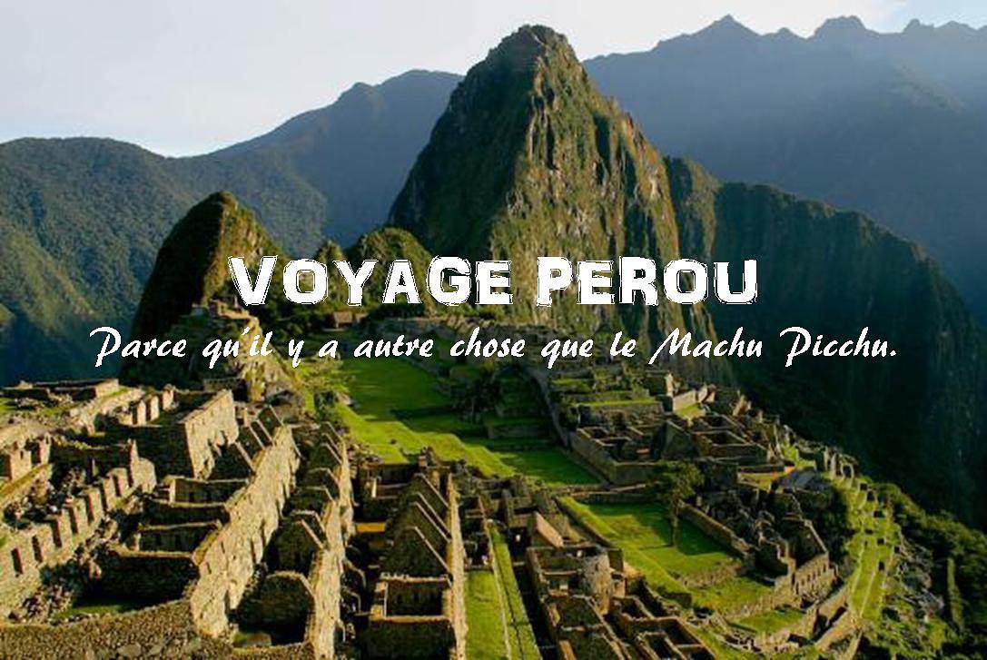 Excursion Dans La Jungle Depuis Pucallpa Amazonie Peruvienne Forum Perou Voyage Forum