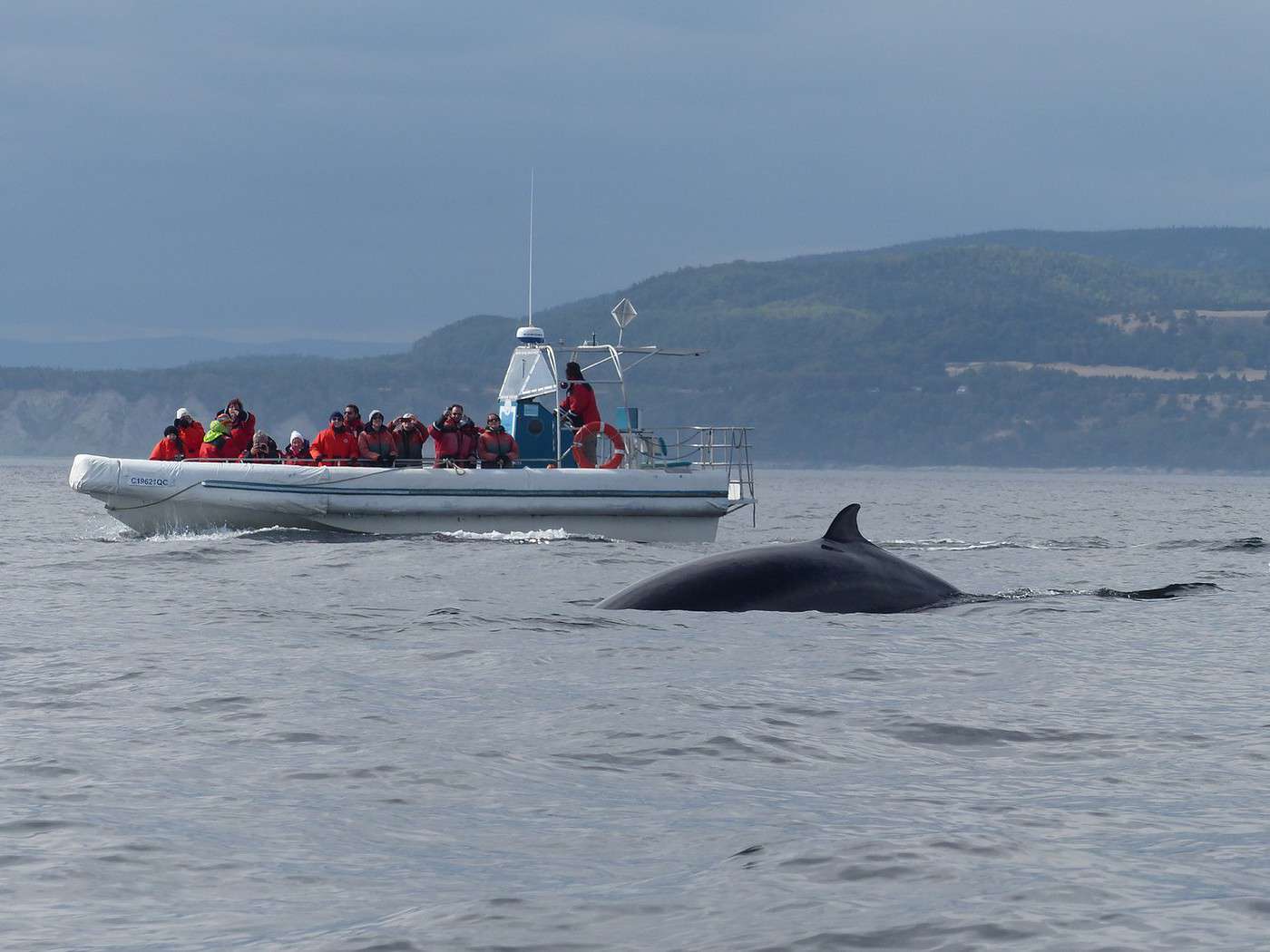 Baleines à Tadoussac (septembre 2015) de voyage > SaguenayLacSaintJean (Québec