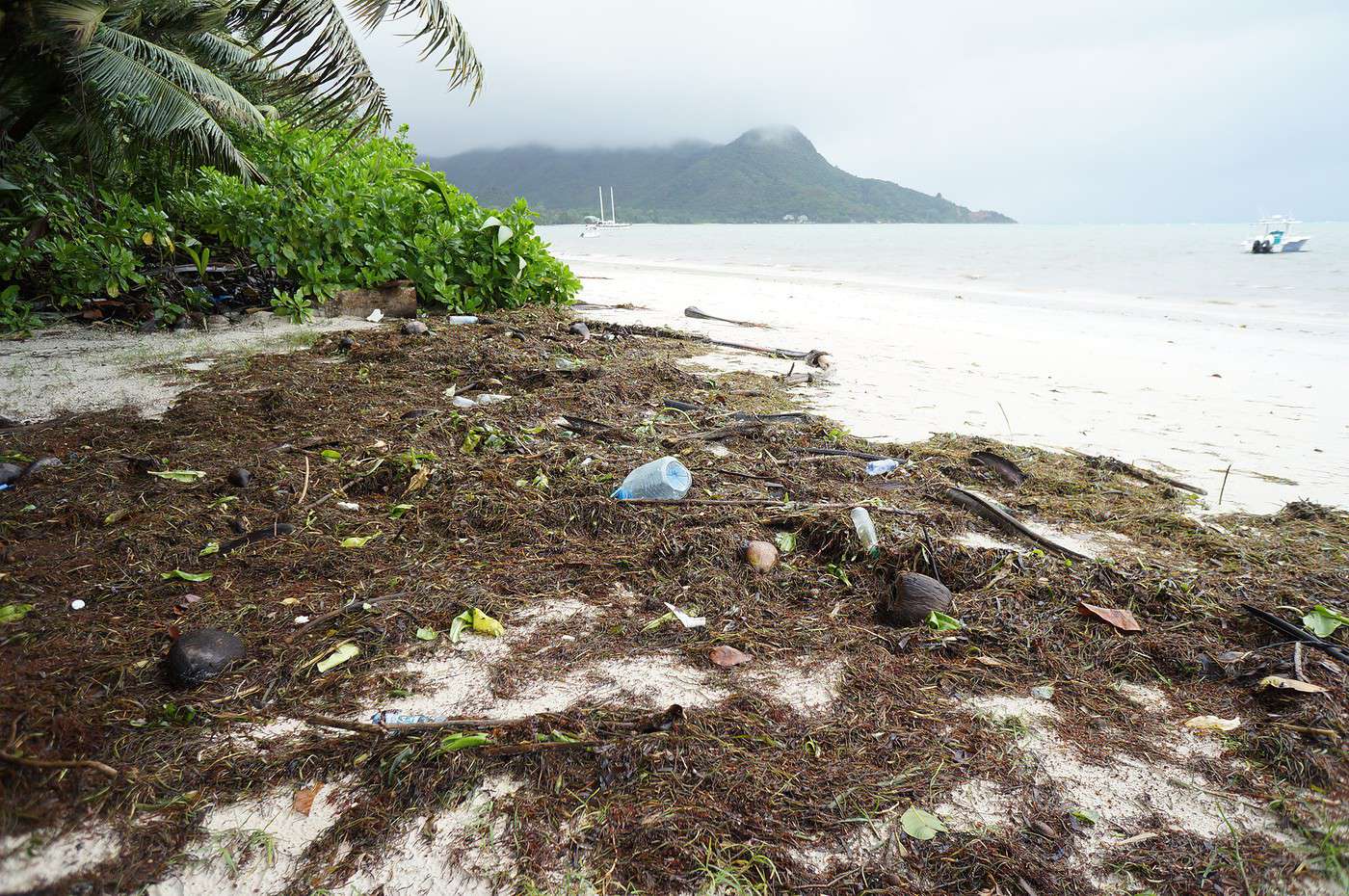 Mer agitée aux Seychelles en été (juillet / août) Forum Seychelles Voyage Forum