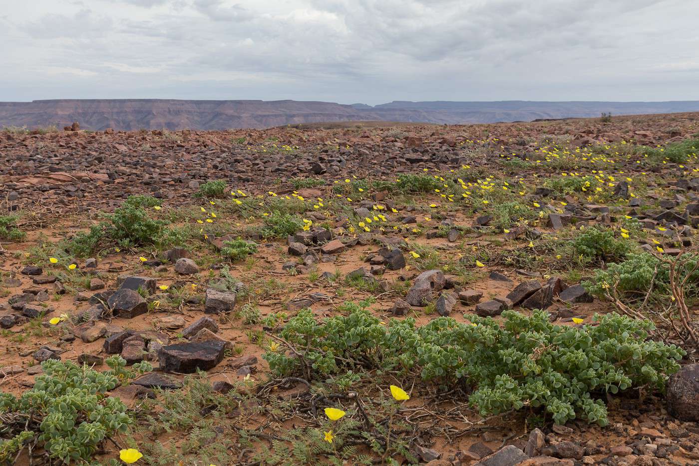 Namibie Et Afrique Du Sud, Paysages à Couper Le Souffle (page 7 ...