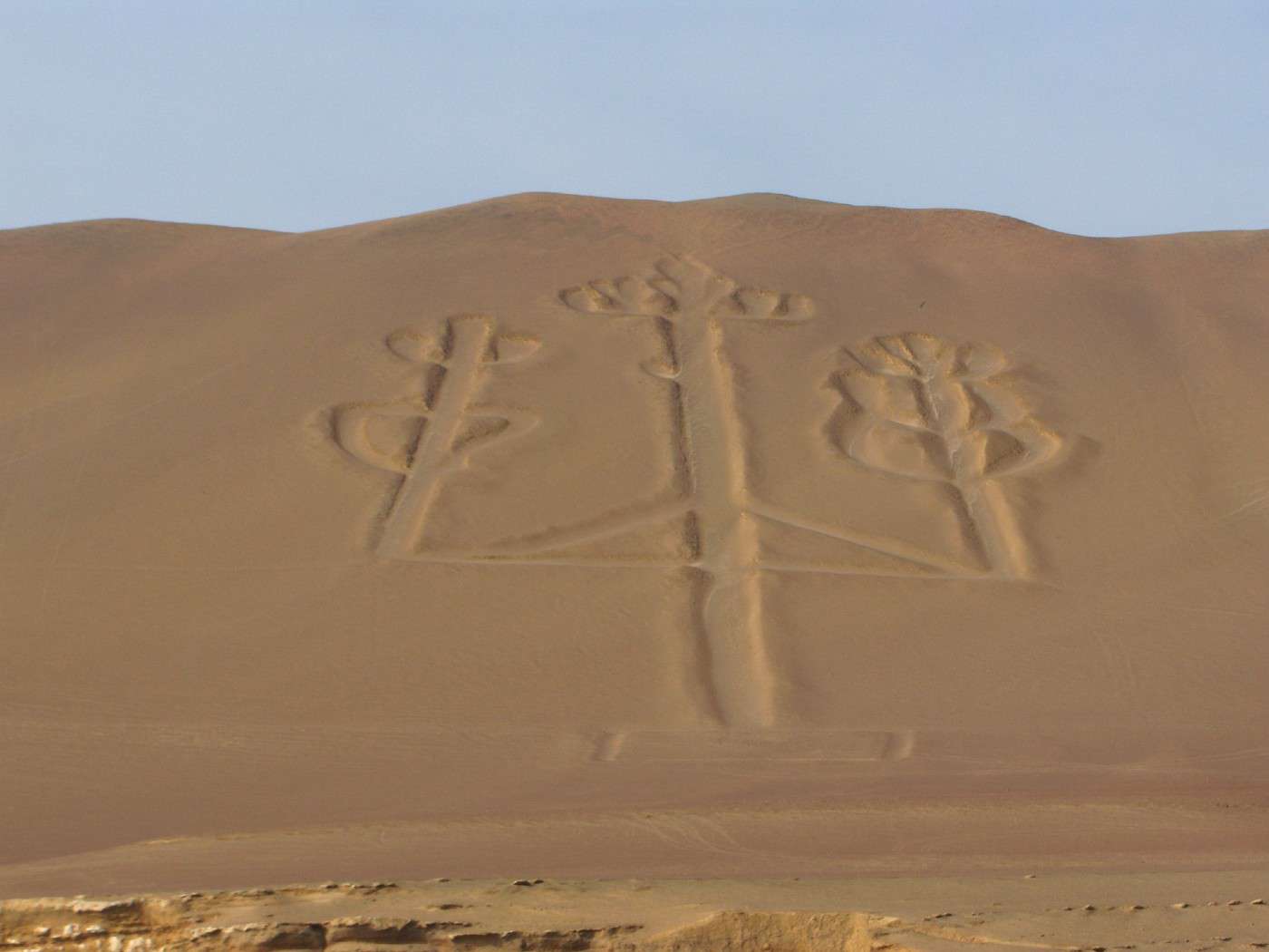 Réserve nationale de Paracas, Pérou