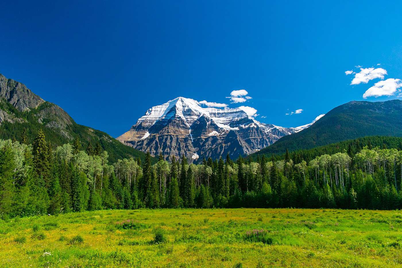 Parc provincial du Mont Robson, Colombie-Britannique, Canada