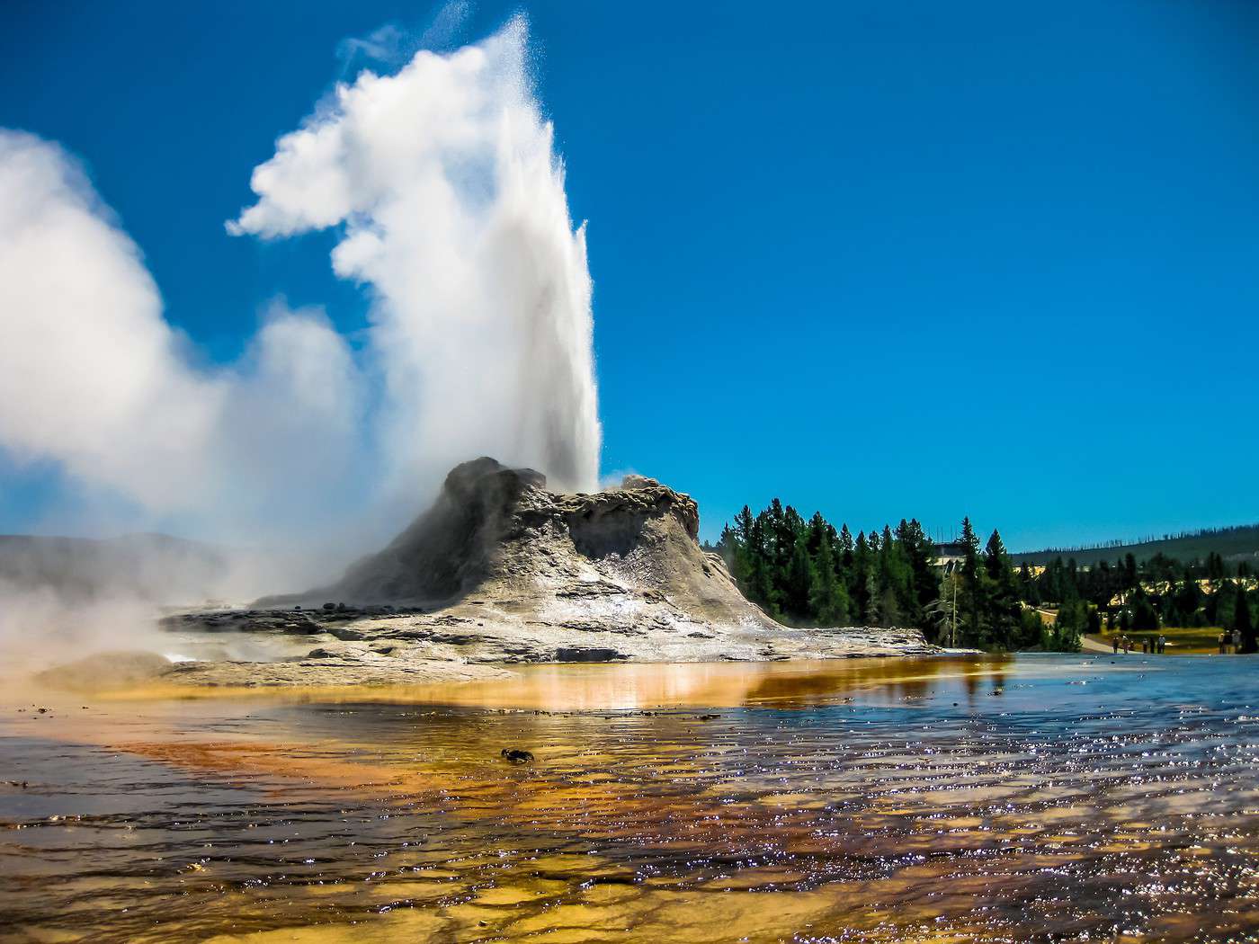 Présentation du parc national de Yellowstone Guide voyage