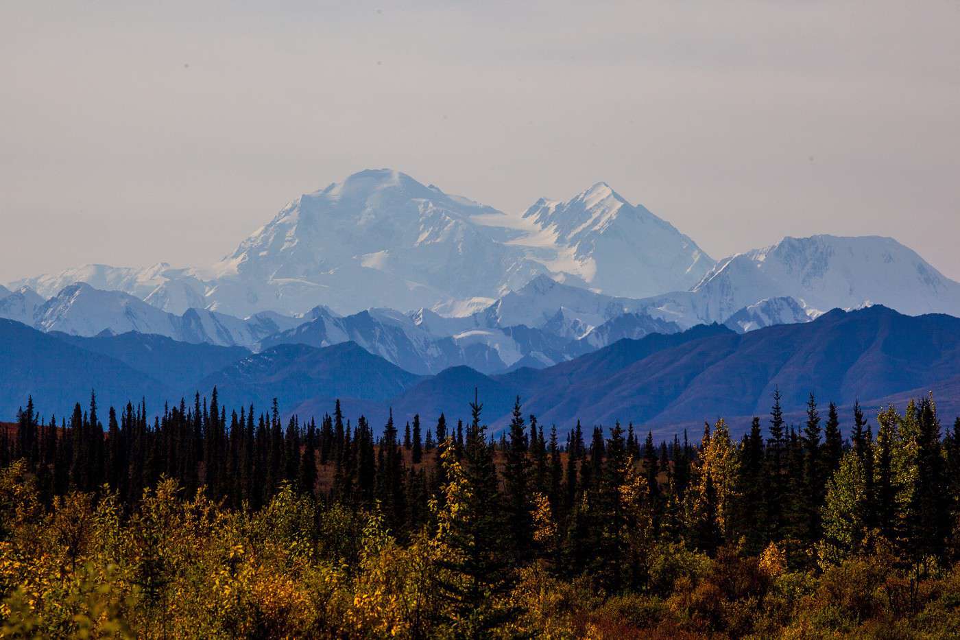Parc national de Denali, Alaska, &Eacute;tats-Unis