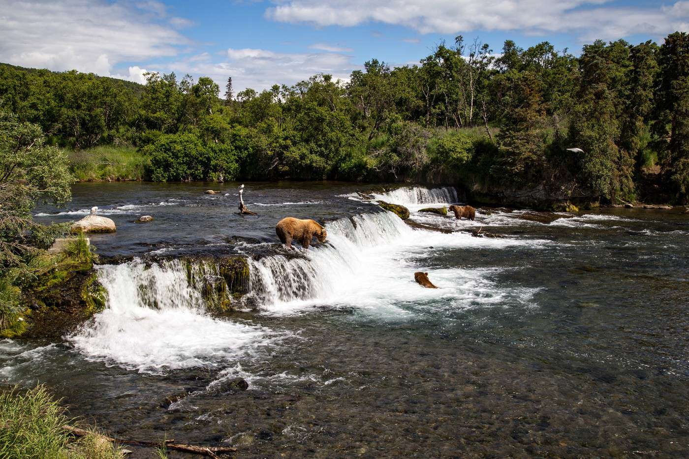 Parc national de Katmai, Alaska, États-Unis