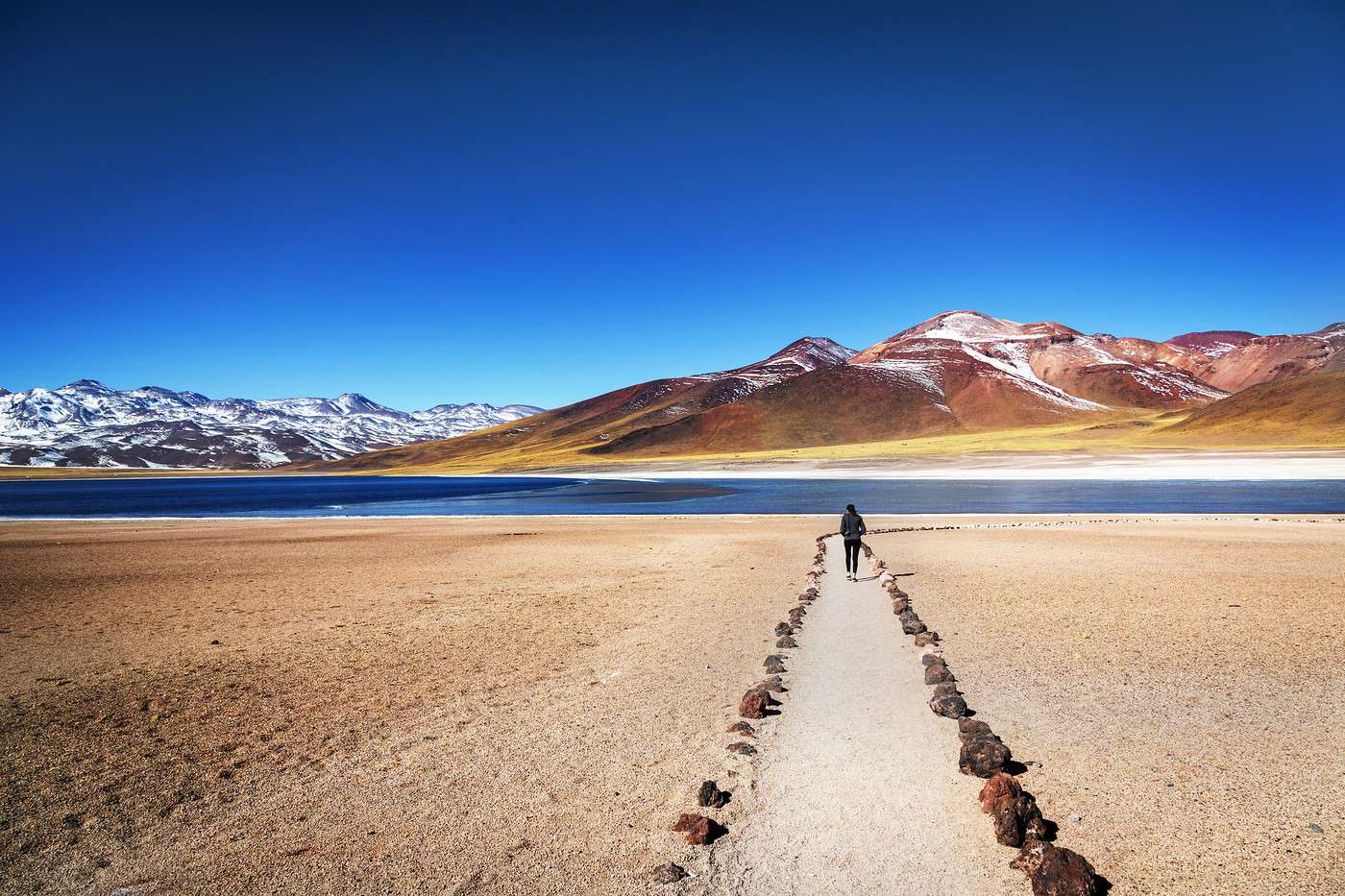 D&eacute;sert d'Atacama, Chili