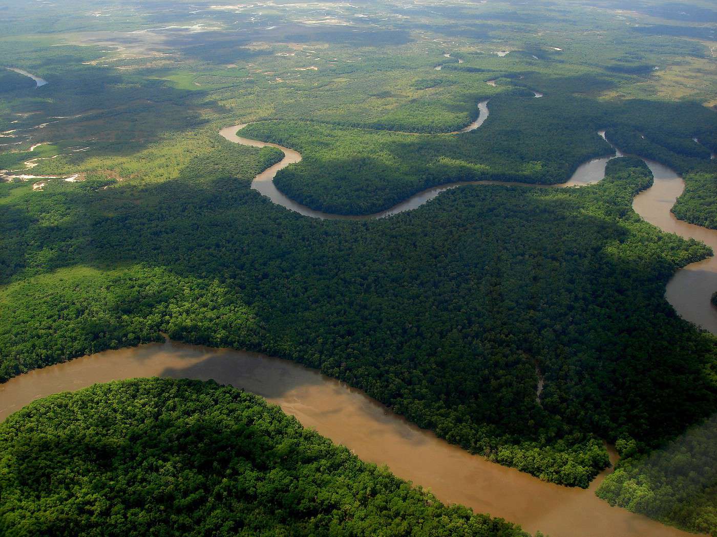 Amazone, Brésil Amazone, Brésil