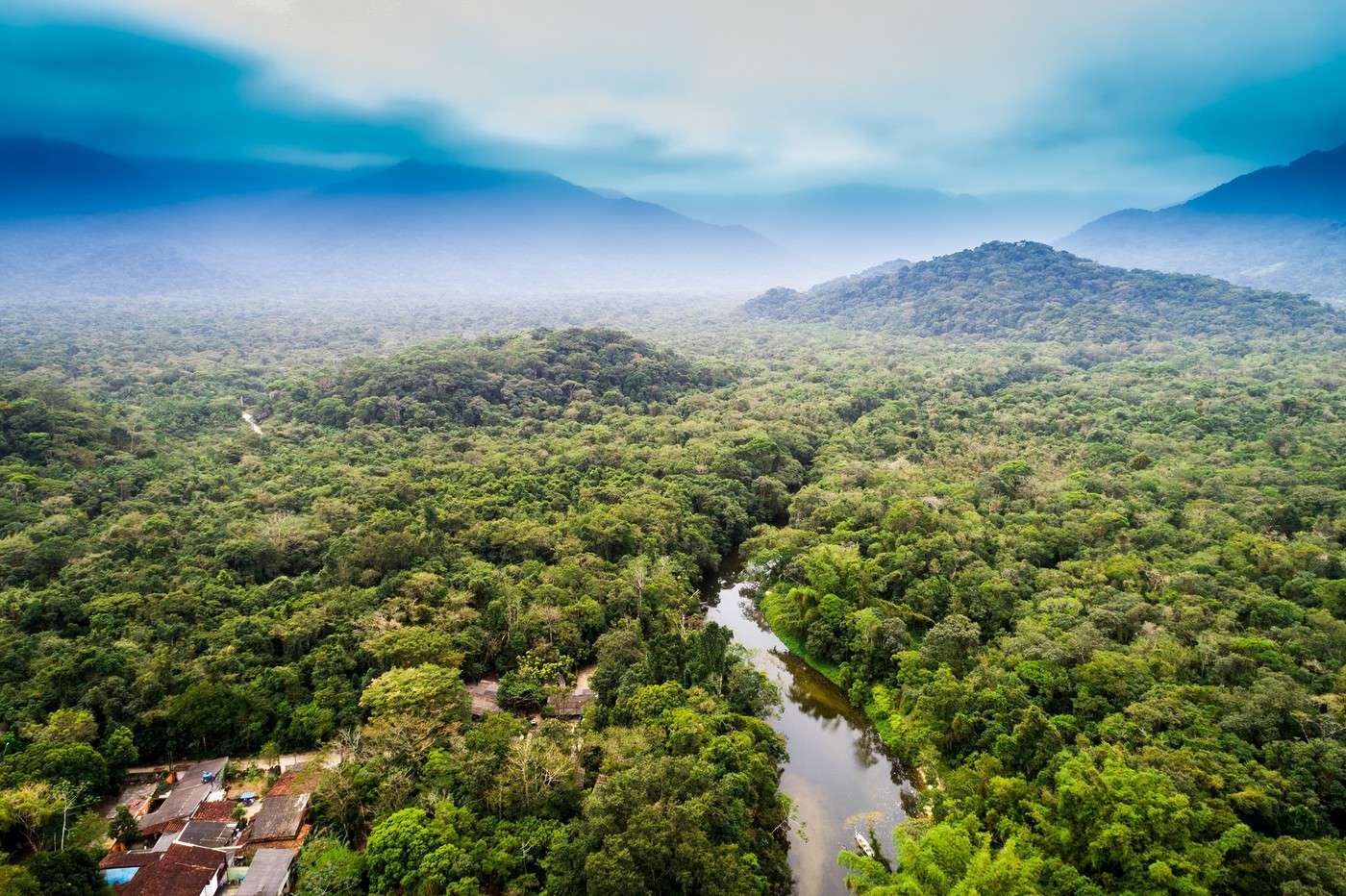 Forêt amazonienne, Brésil Forêt amazonienne, Brésil