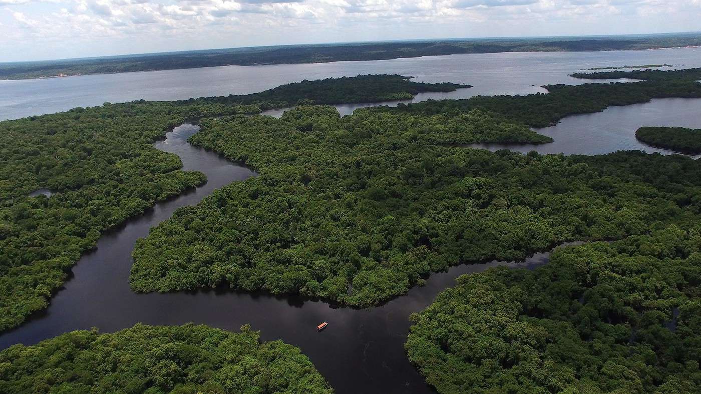 Parc national de Anavilhanas, Br&eacute;sil