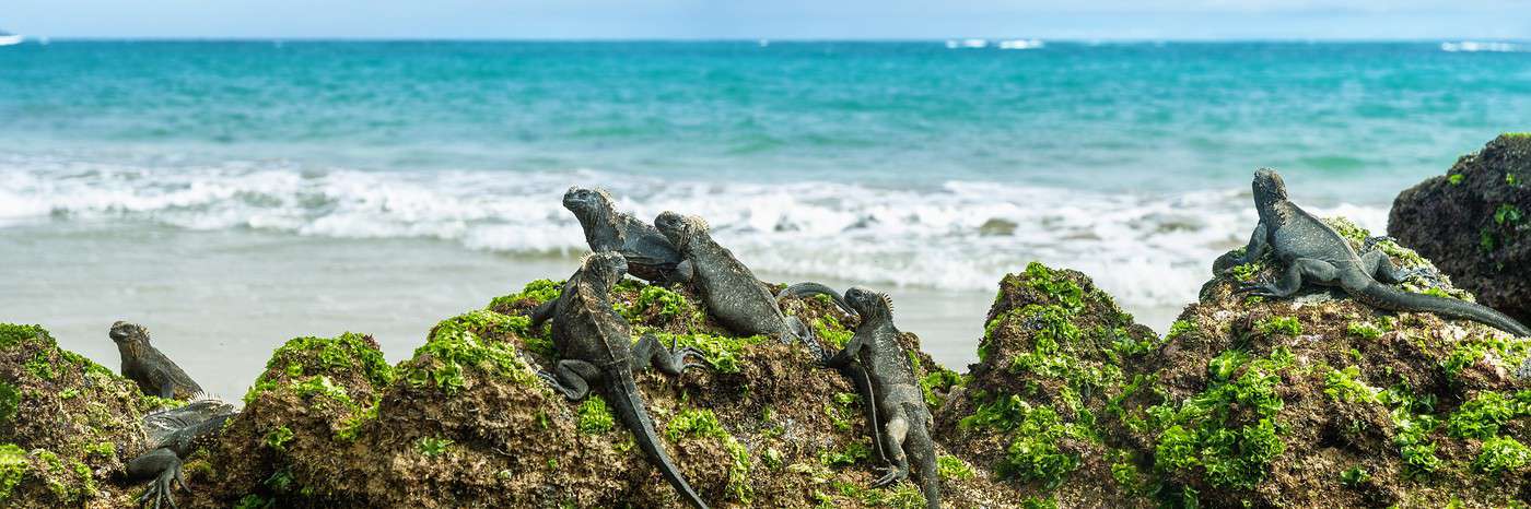 Galapagos, Équateur