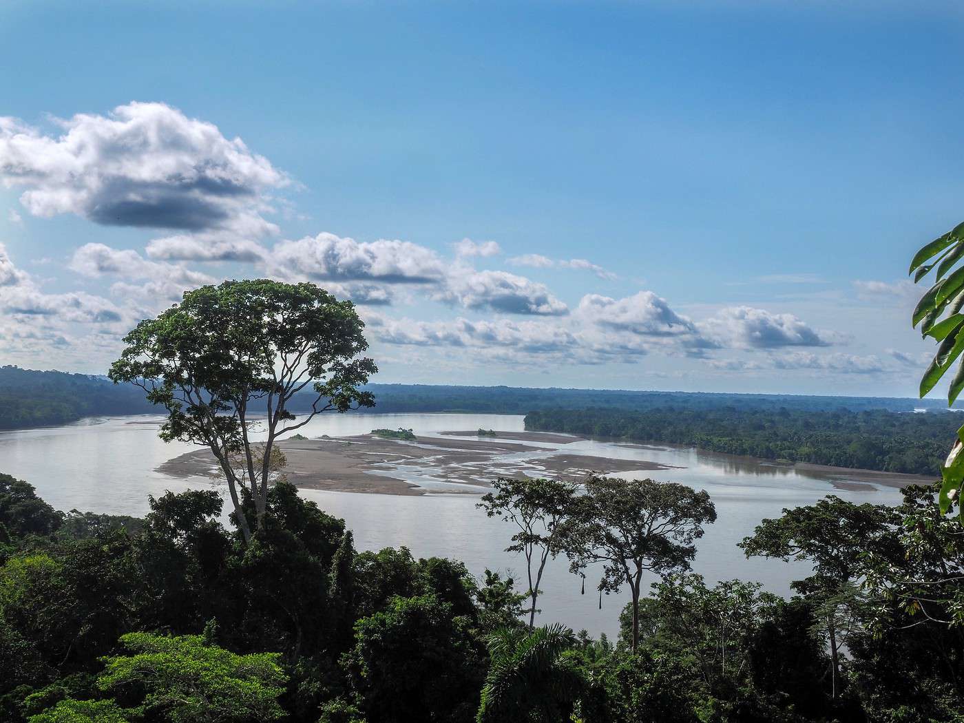 Parc national de Yasuni, &Eacute;quateur