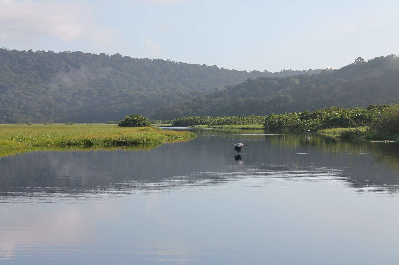 Marais de Kaw, Guyane