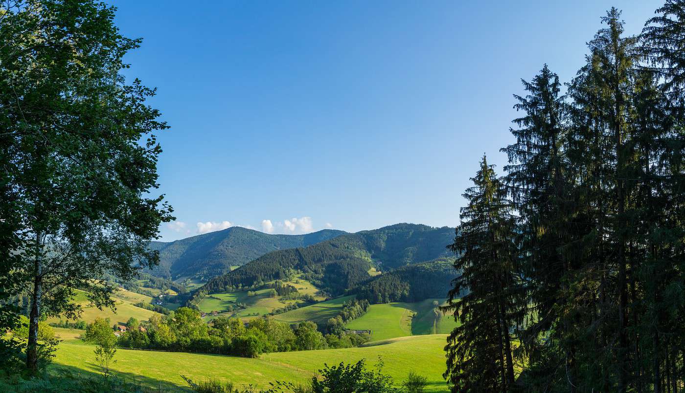 Forêt-Noire, Allemagne