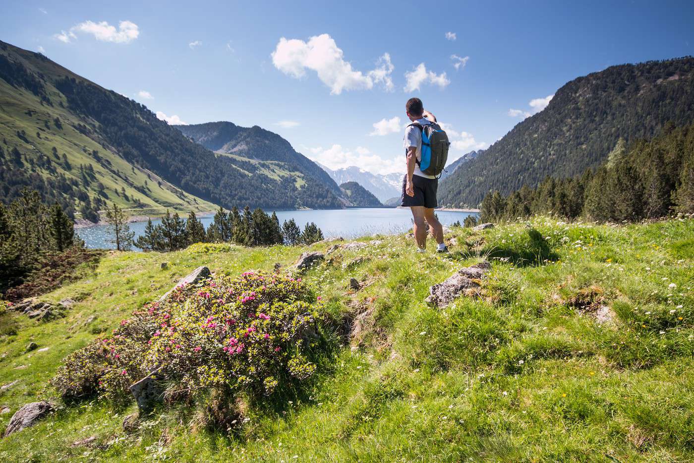 Parc National des Pyrénées, Hautes-Pyrénées, France