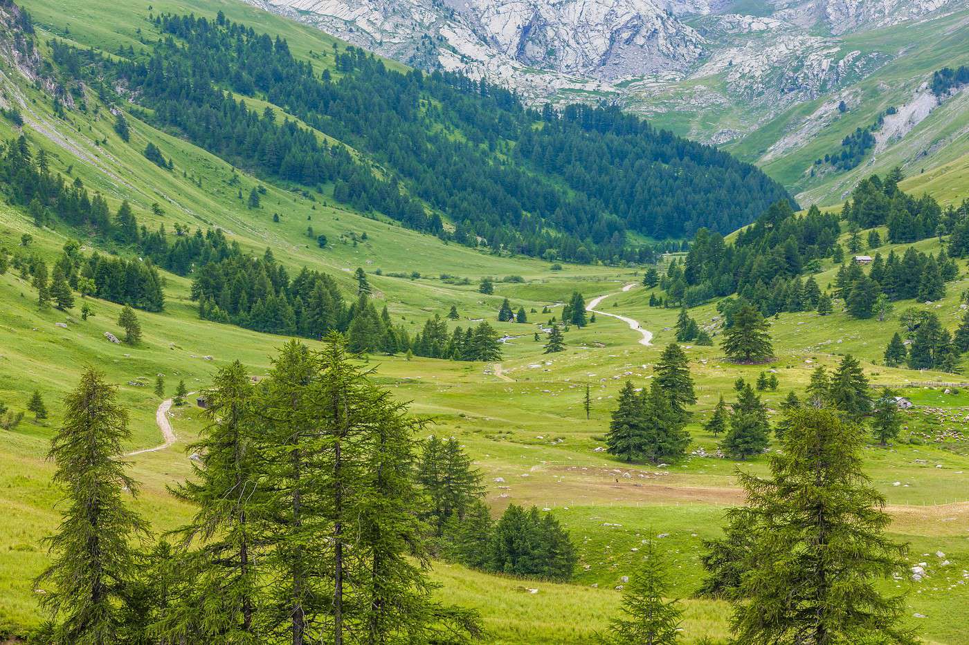 Parc national du Mercantour, Alpes-Maritimes, France