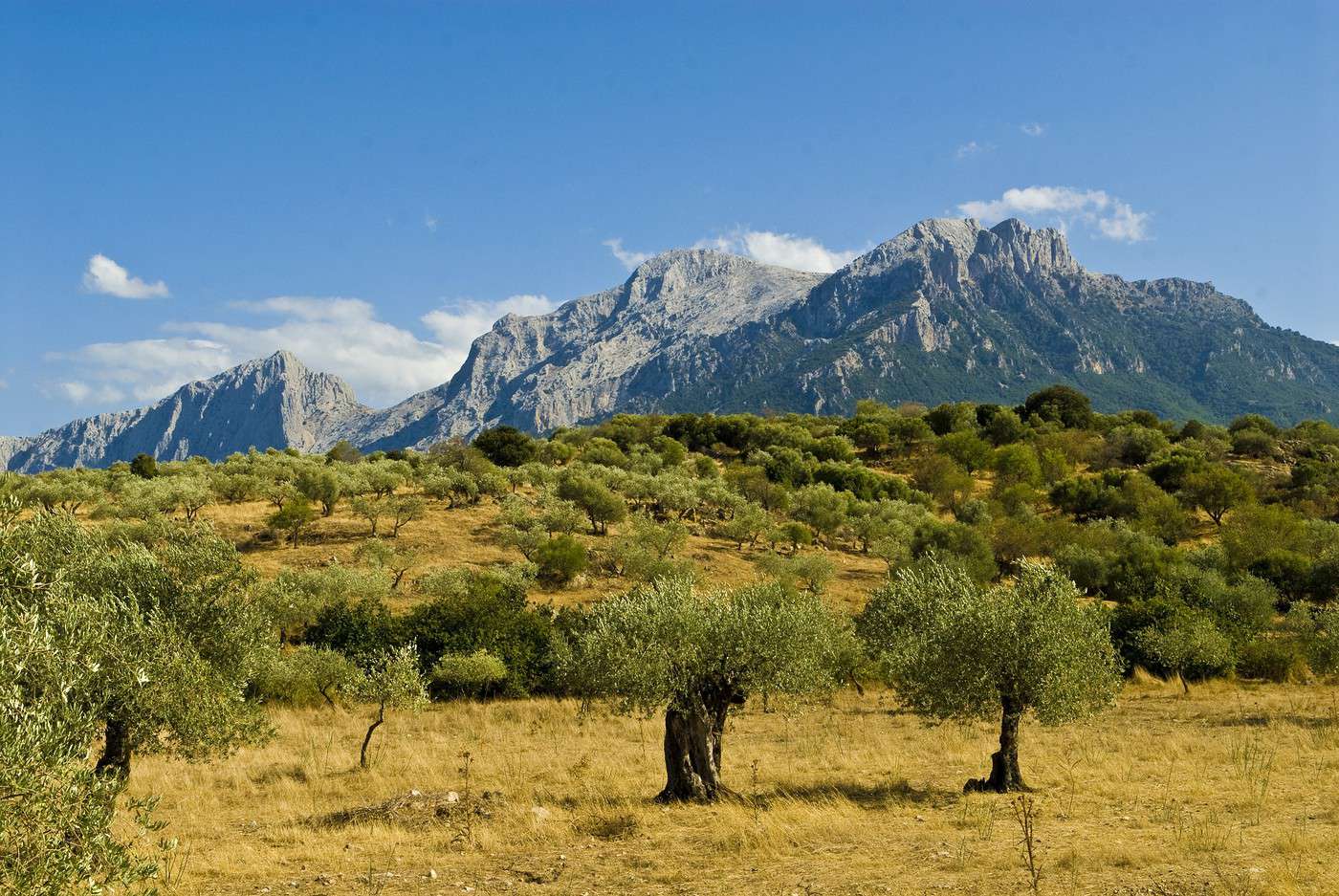 Parc national de Gennargentu, Italie
