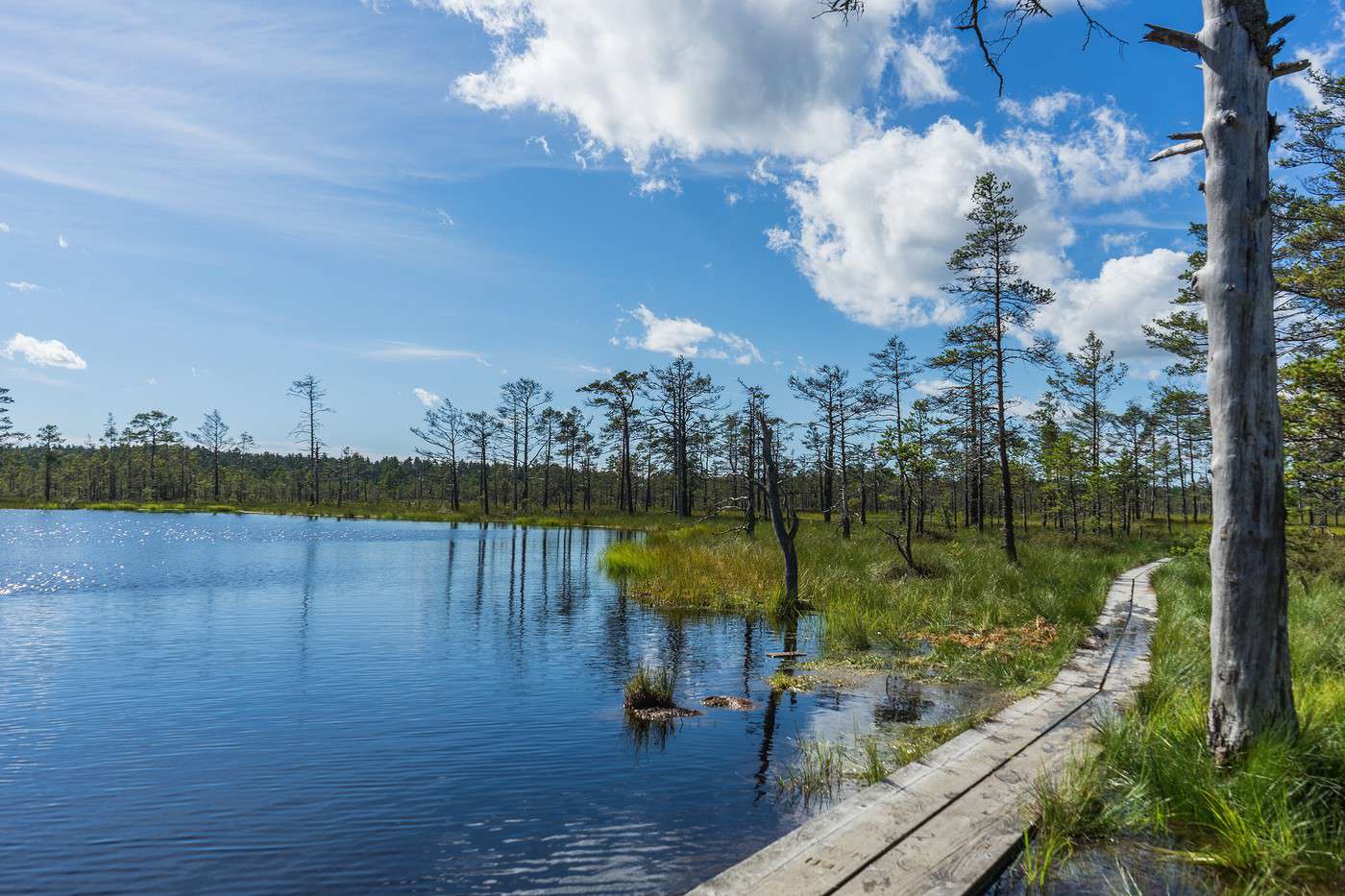 Parc national de Lahemaa, Estonie