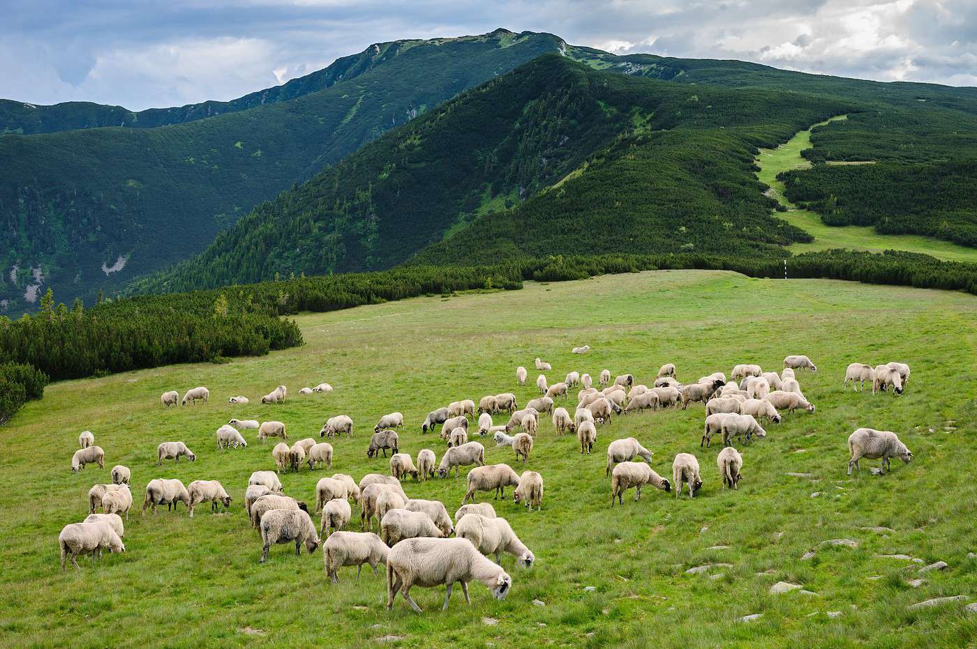 Parc national Retezat, Roumanie