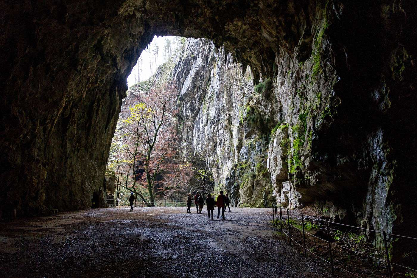 Grotte de Skocjan, Slov&eacute;nie