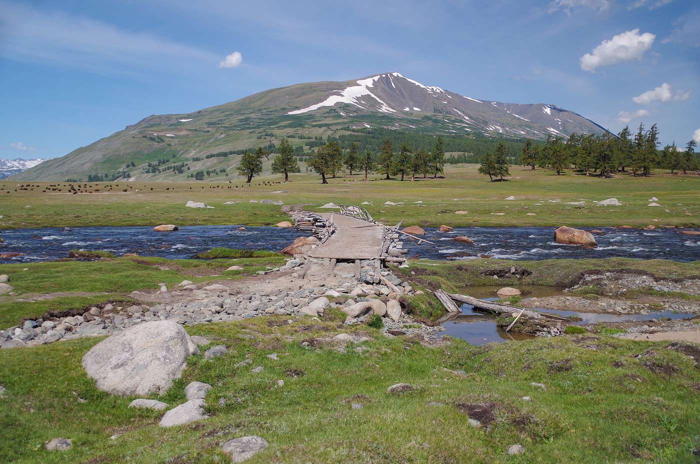 Parc national d'Altai Tavan Bogd, Mongolie