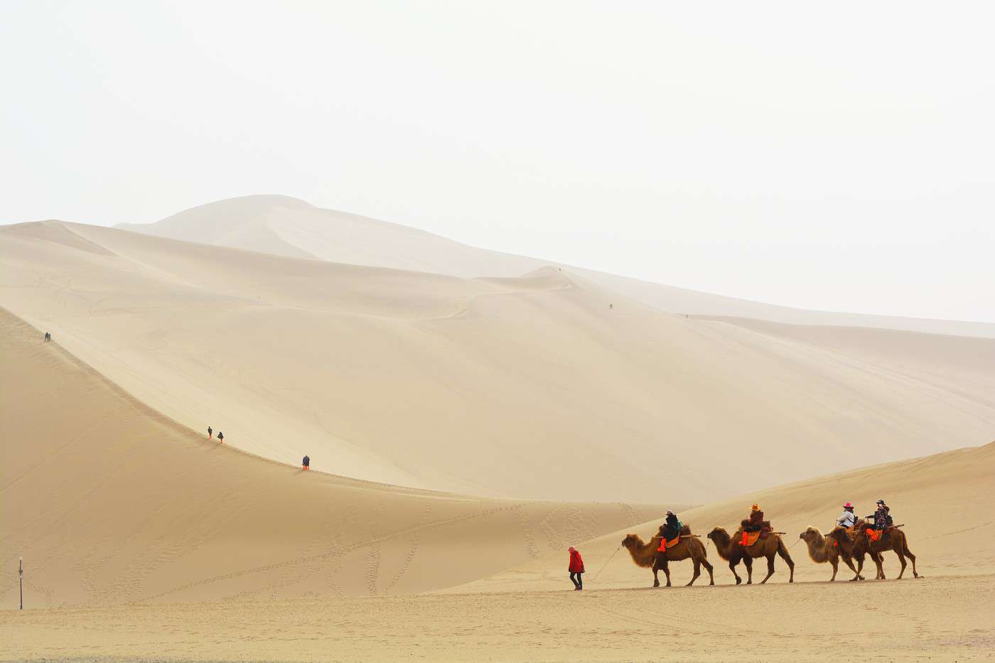 Désert de Gobi, Chine Désert de Gobi, Chine