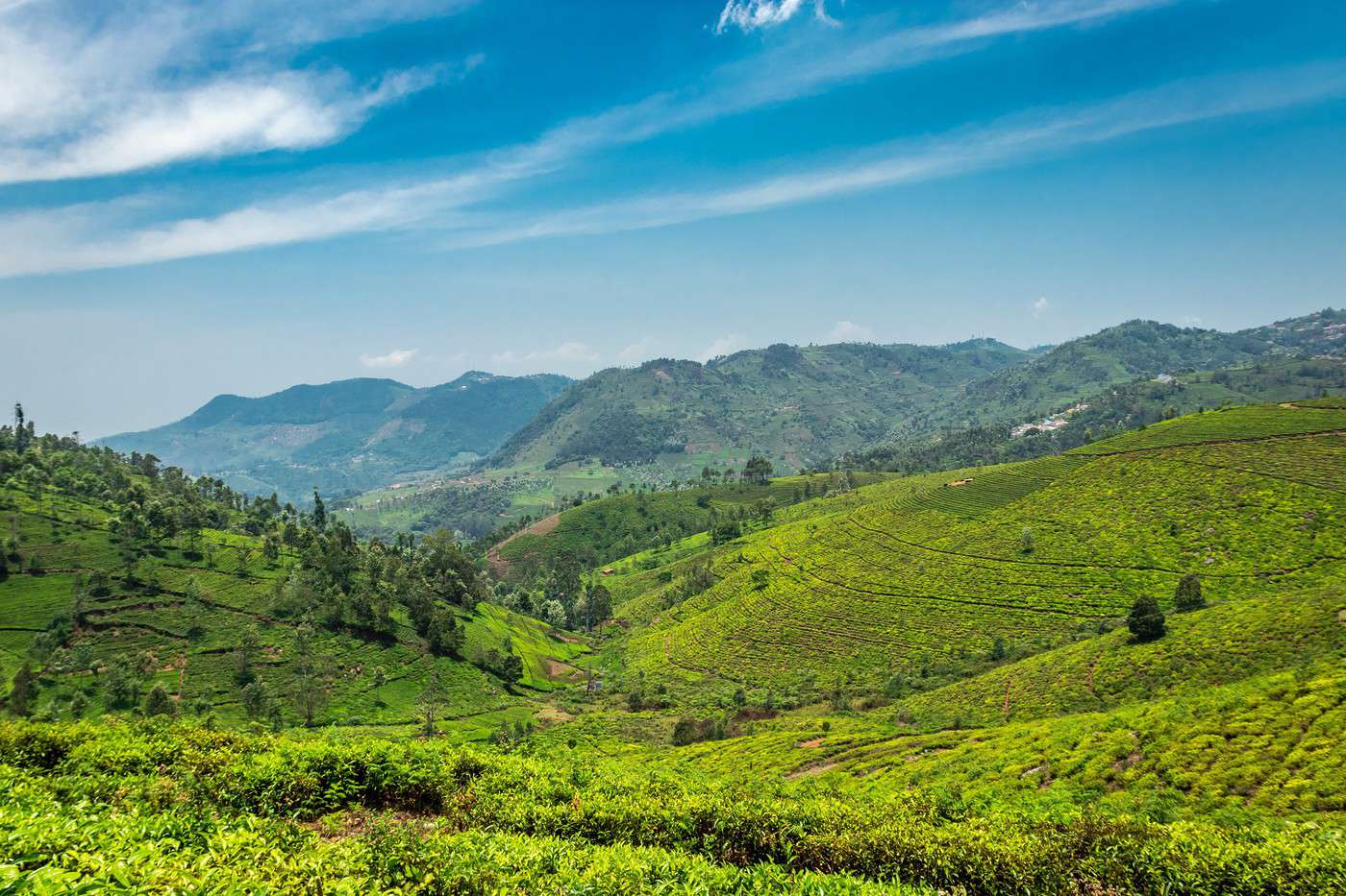 Gh&acirc;ts occidentaux, Inde