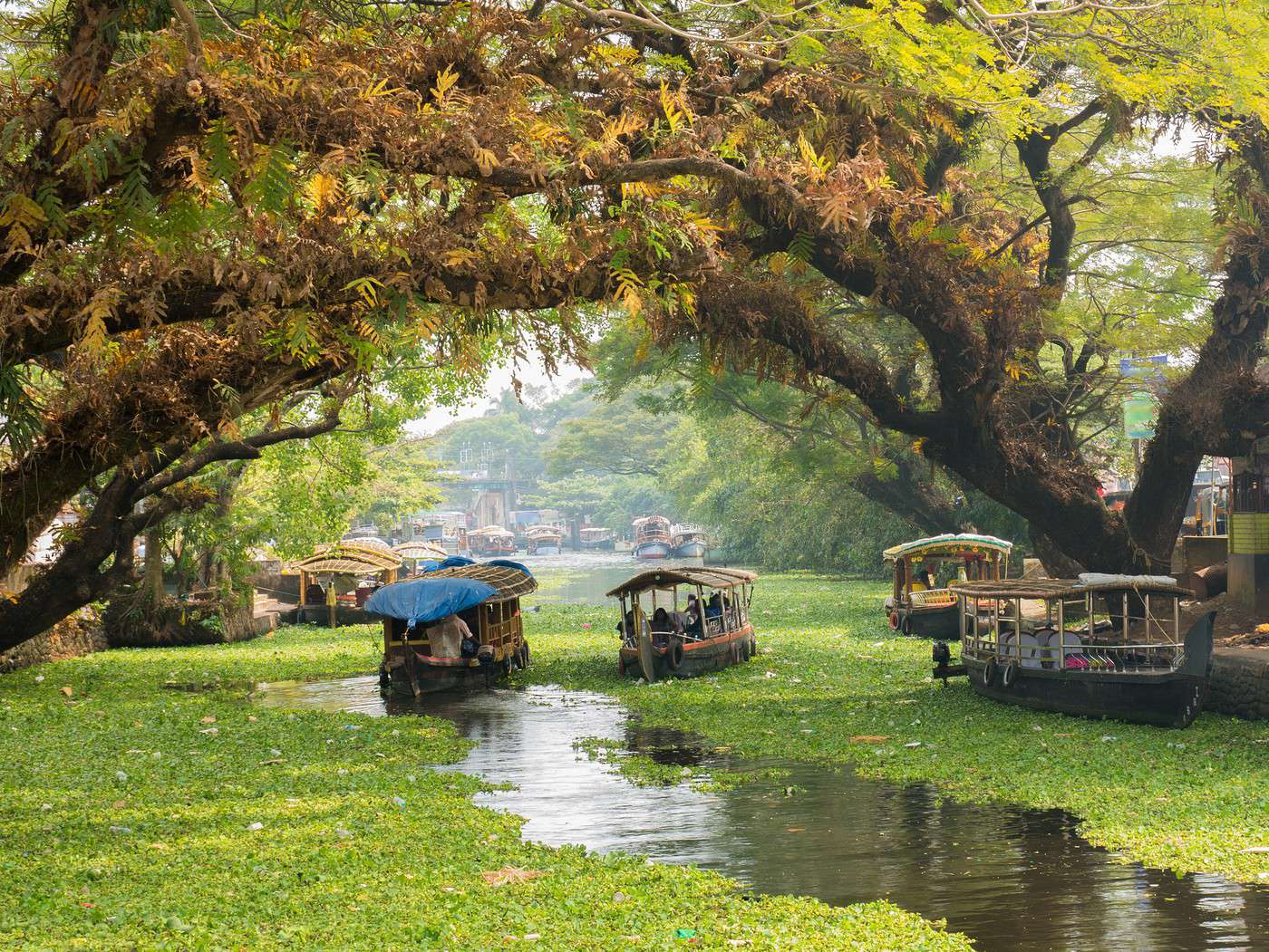 Backwaters, Inde