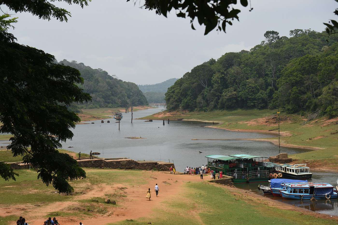 Parc national de Periyar, Inde