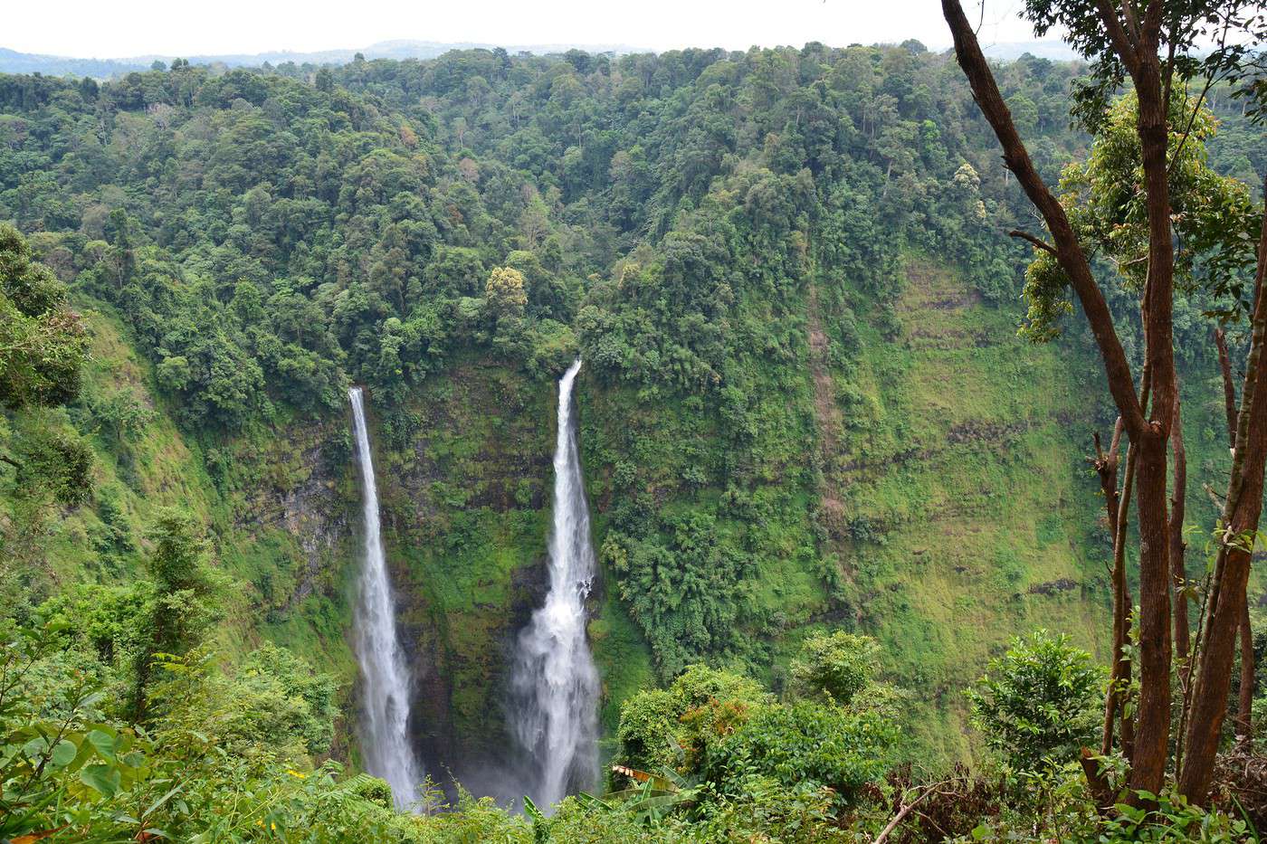Plateau des Bolovens, Laos
