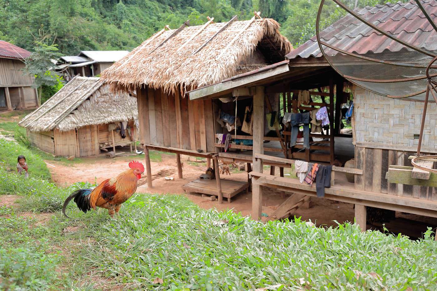 Zone protégée de Nam Ha, Laos