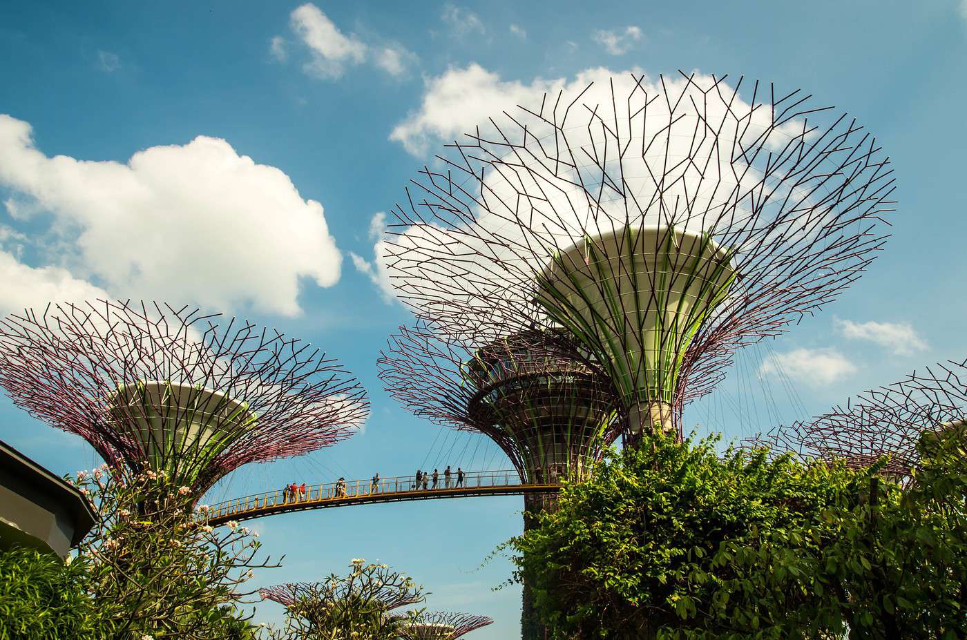 Gardens by the Bay, Singapour