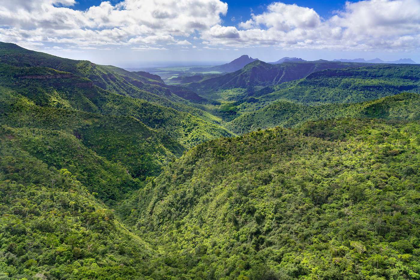Parc national des Black River Gorges, Maurice Parc national des Black River Gorges, Maurice