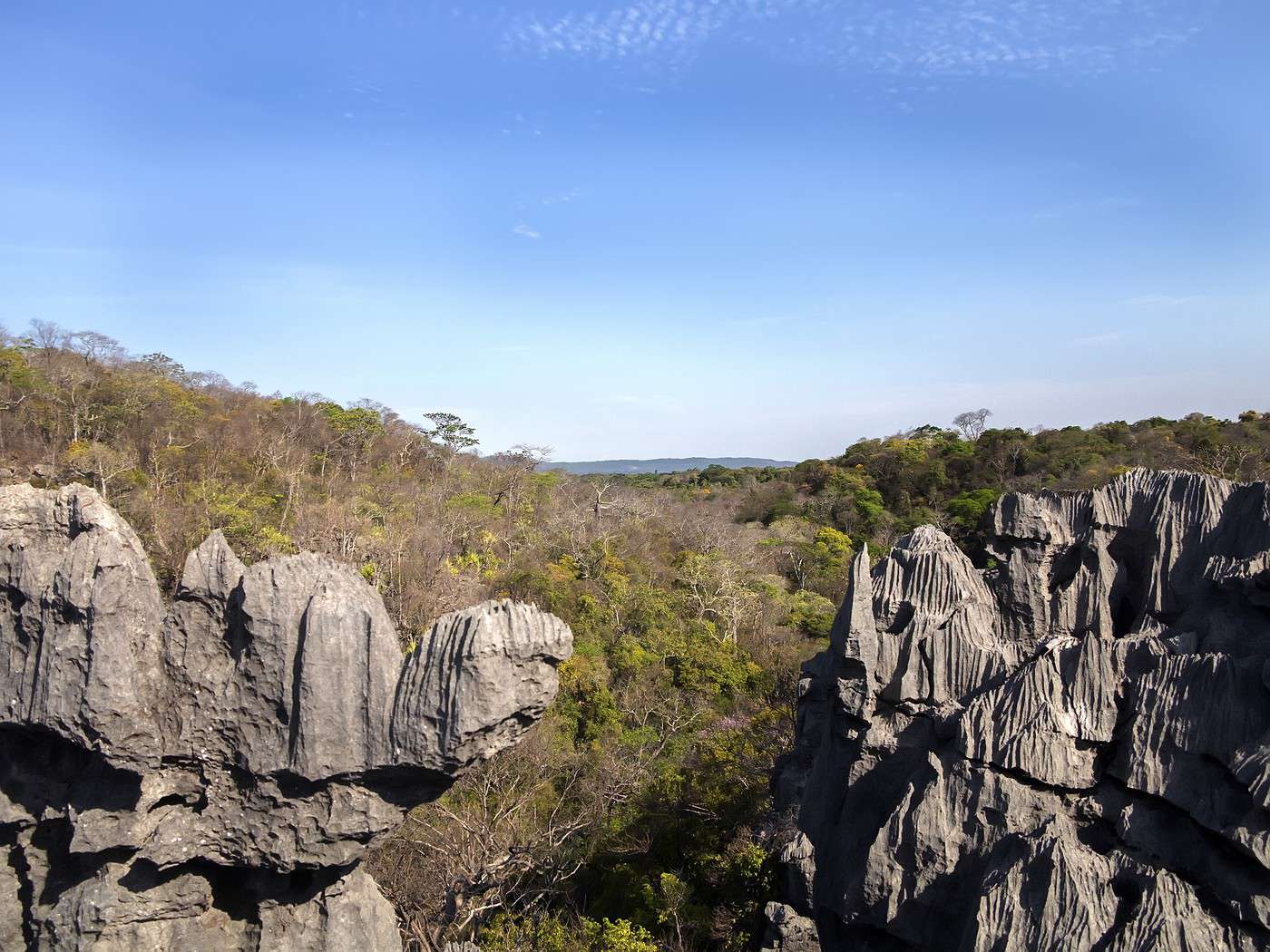 R&eacute;serve de l'Ankarana, Madagascar