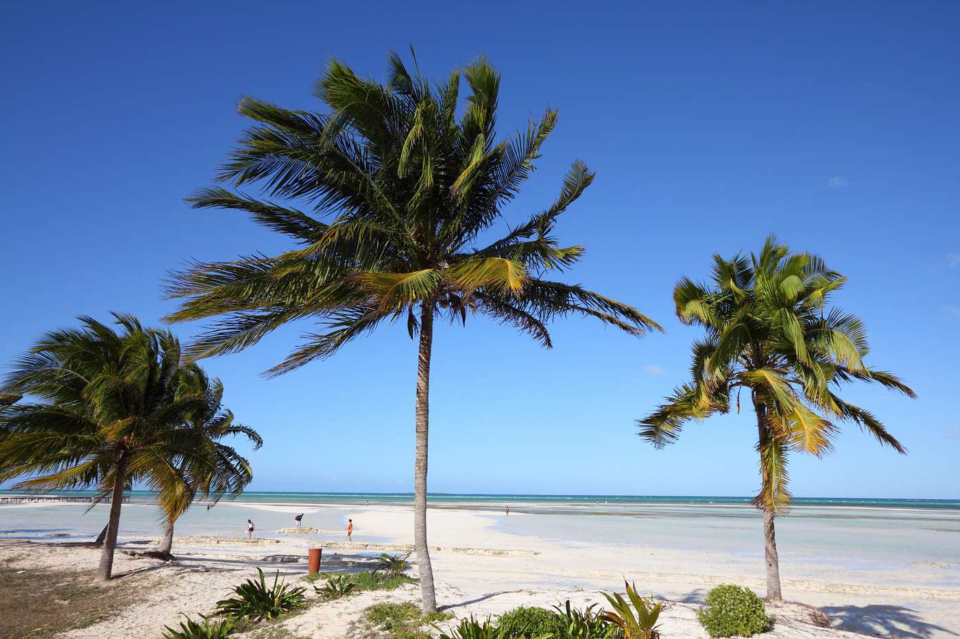 Cayo Guillermo, Cuba