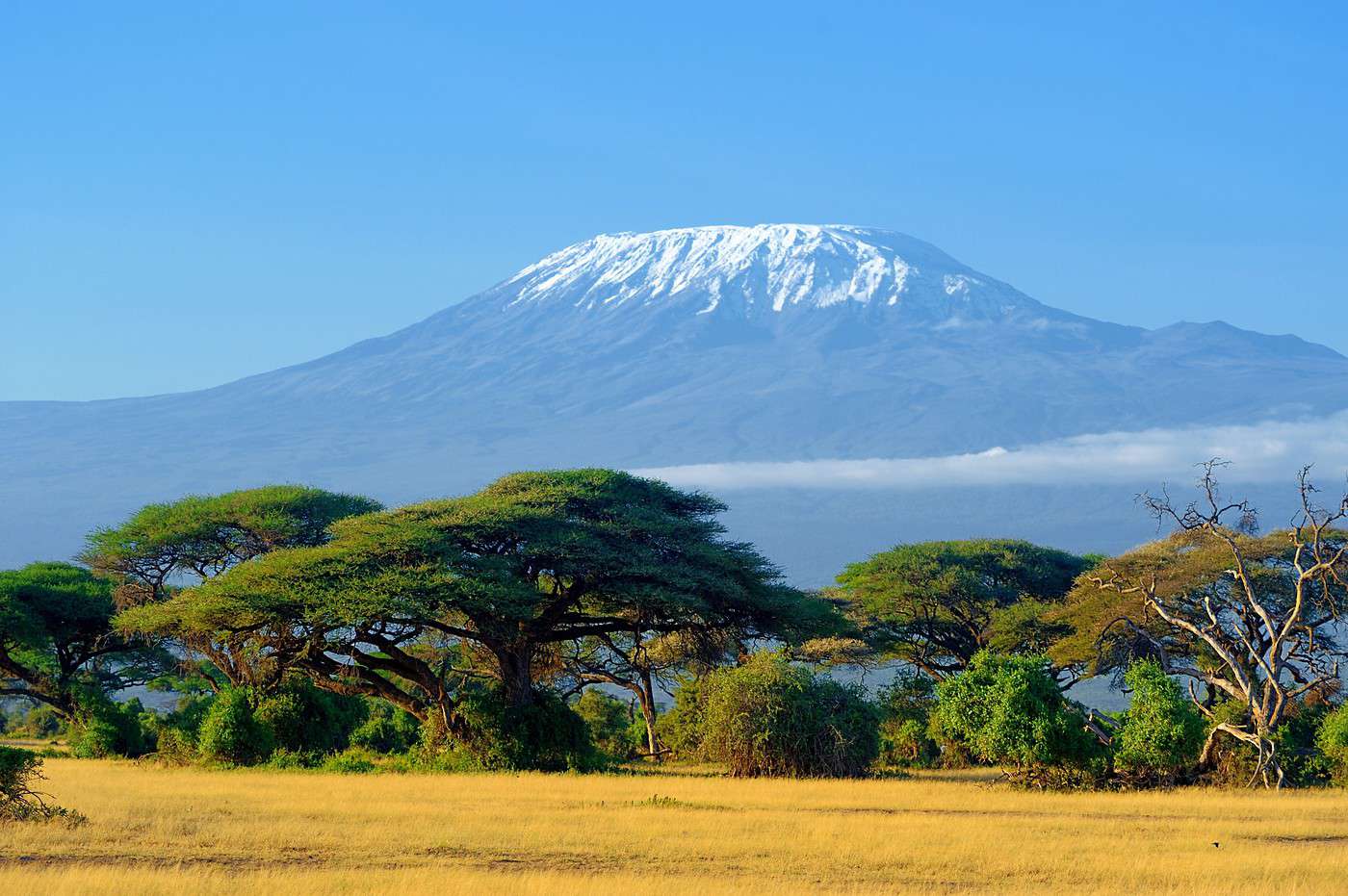 Kilimandjaro, Tanzanie