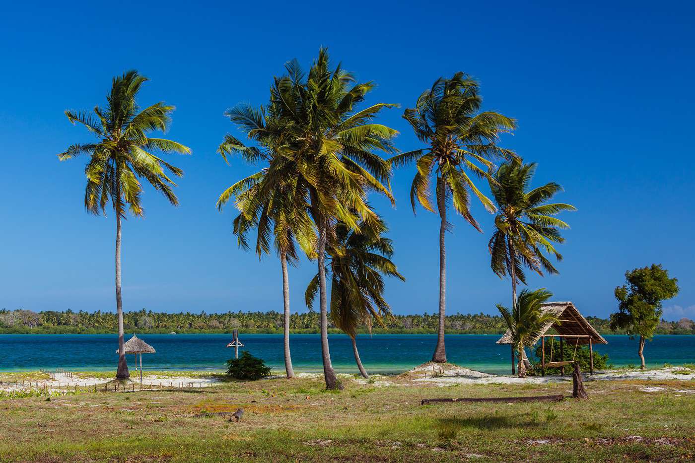 Mafia, Tanzanie