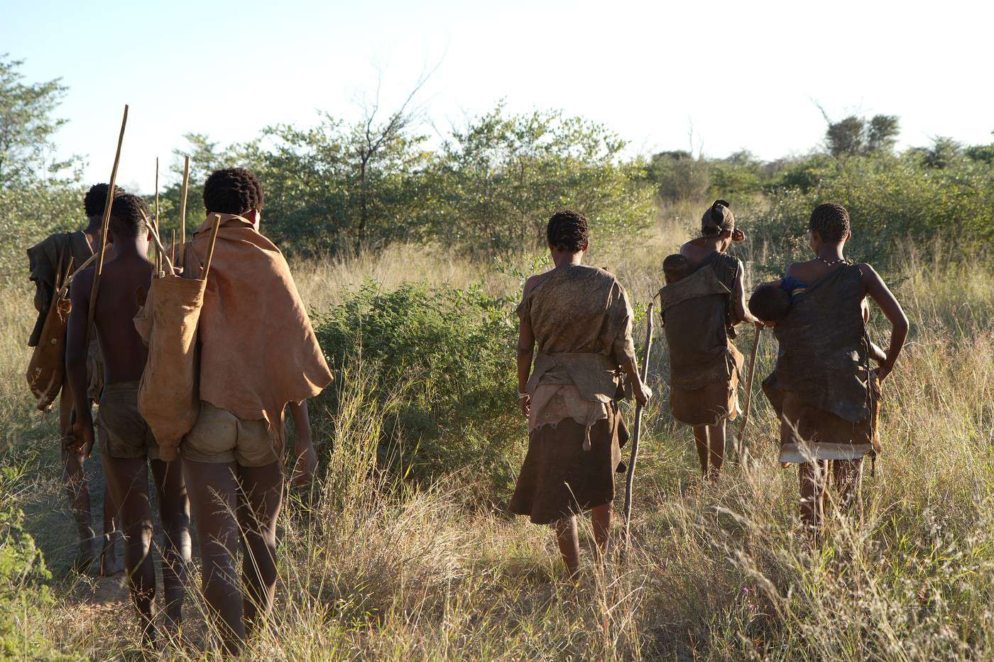 D&eacute;sert du Kalahari, Botswana