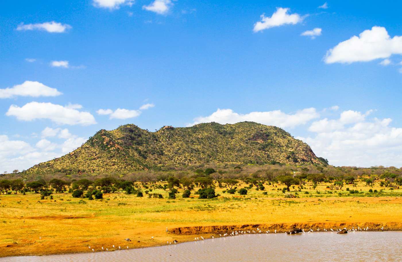 Parcs nationaux de Tsavo East et West, Kenya