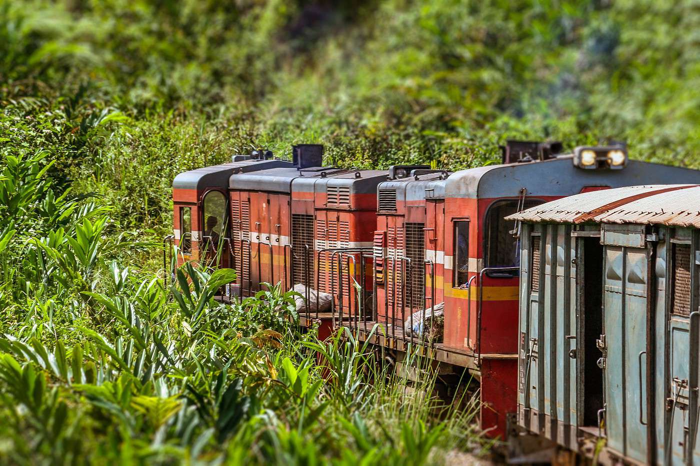 Train Fianarantsoa Côte-Est, Madagascar