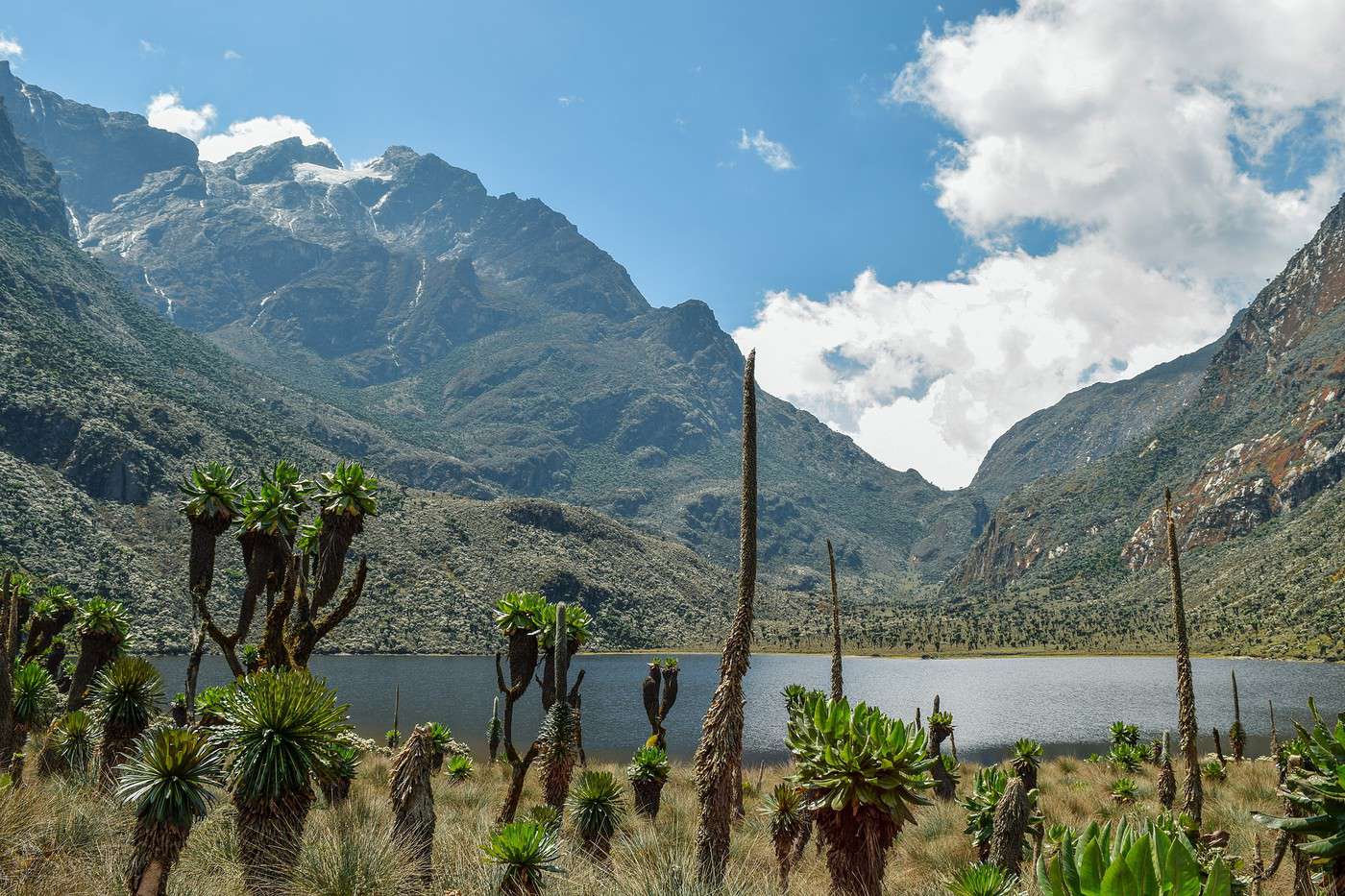 Monts Rwenzori, Ouganda Monts Rwenzori, Ouganda