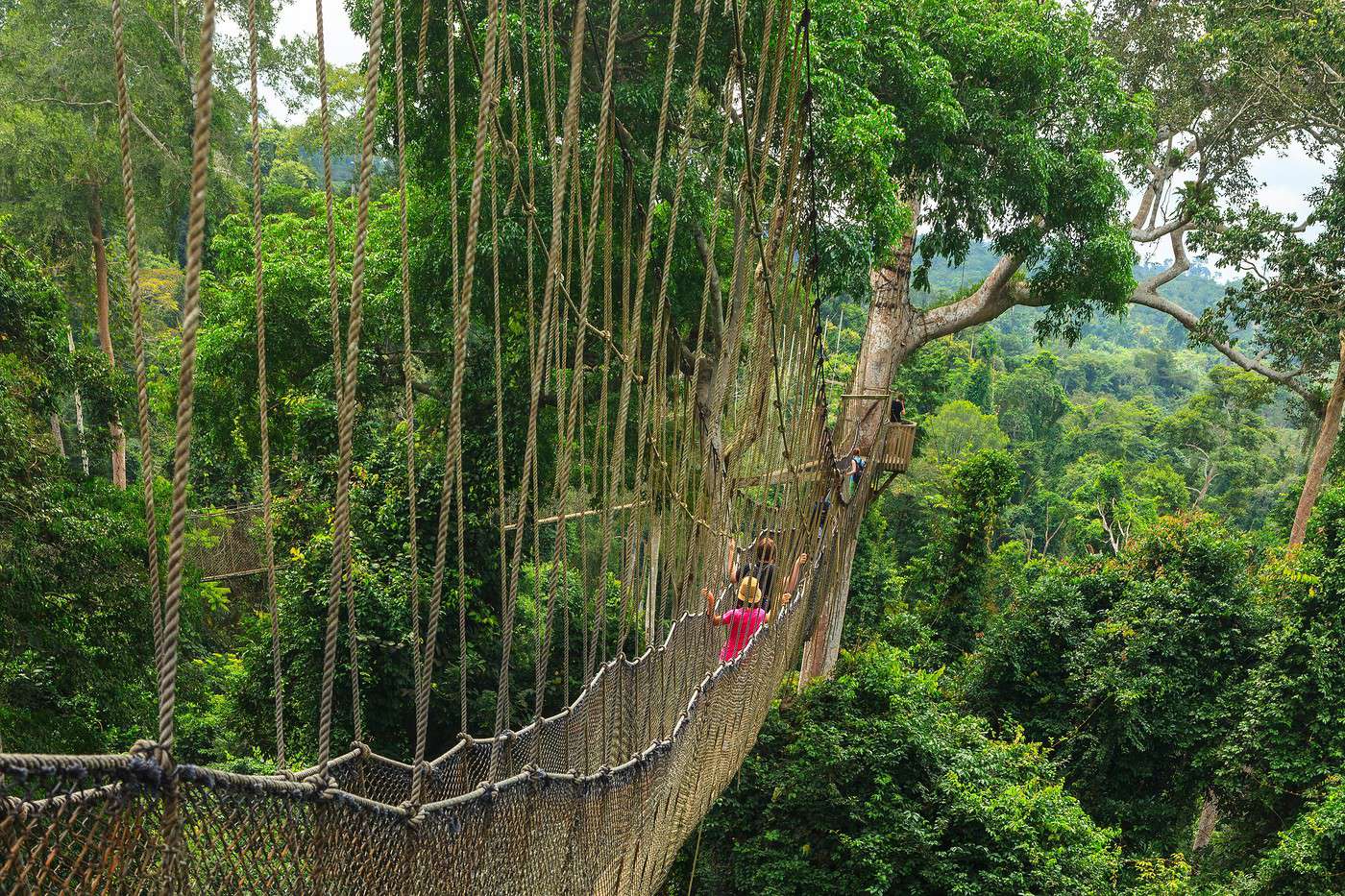 Parc national de Kakum, Ghana