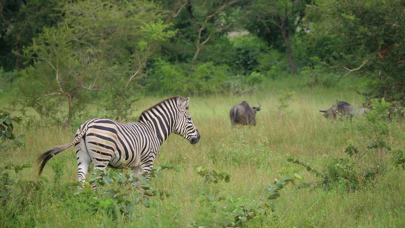 Parc national de la Kéran, Togo