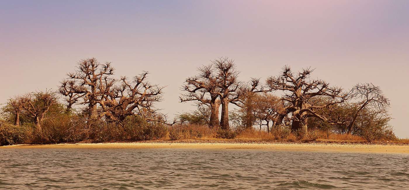 Parc national du delta du Saloum