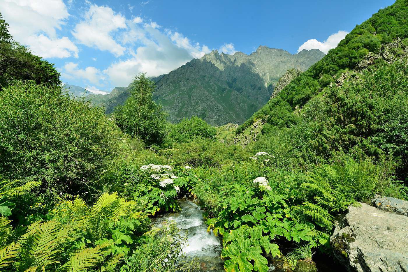 Parc national de Kazbegi, Géorgie