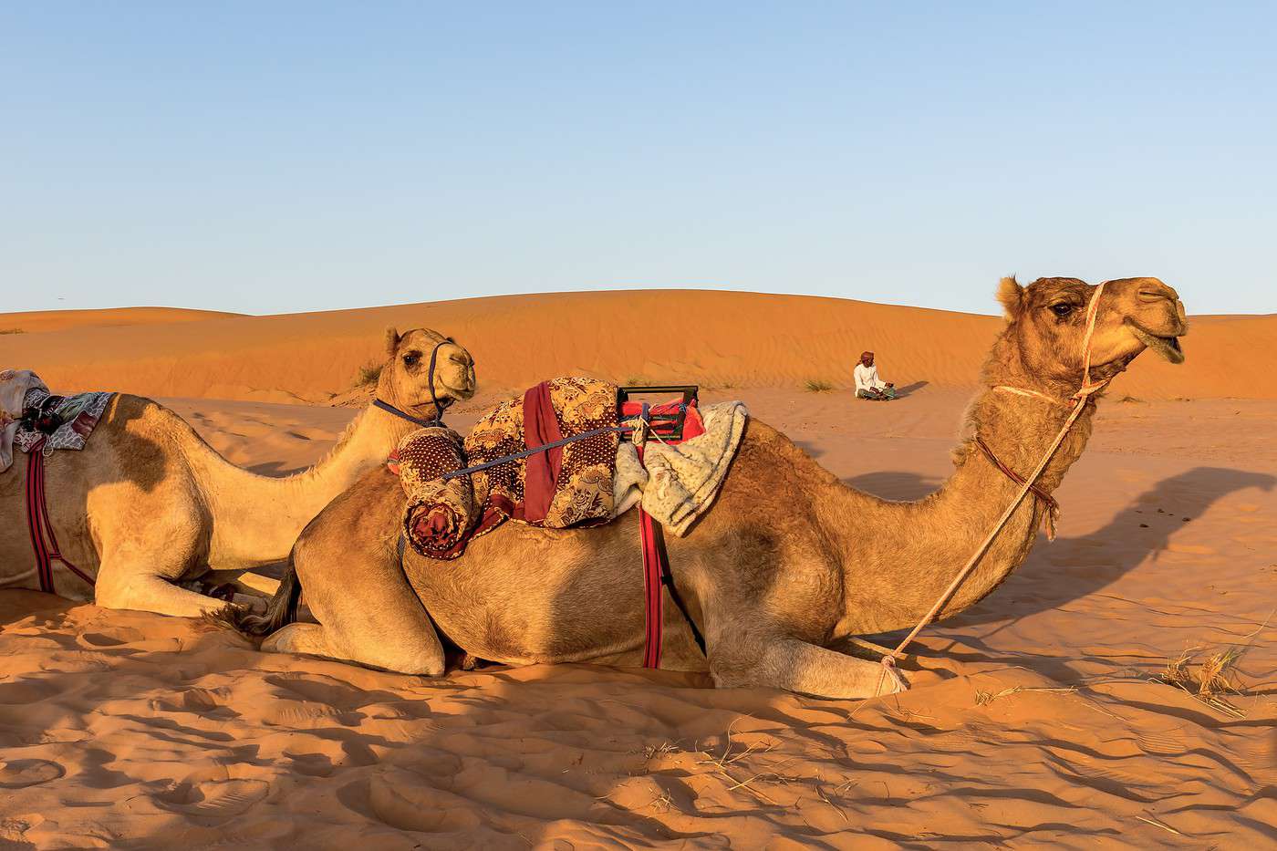 Wahiba Sands, Oman