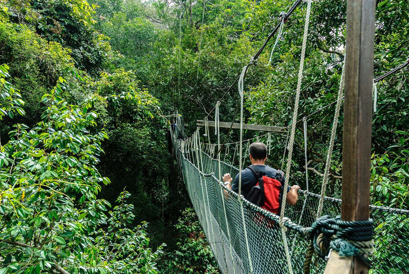 Parc national Taman Negara, Malaisie Parc national Taman Negara, Malaisie