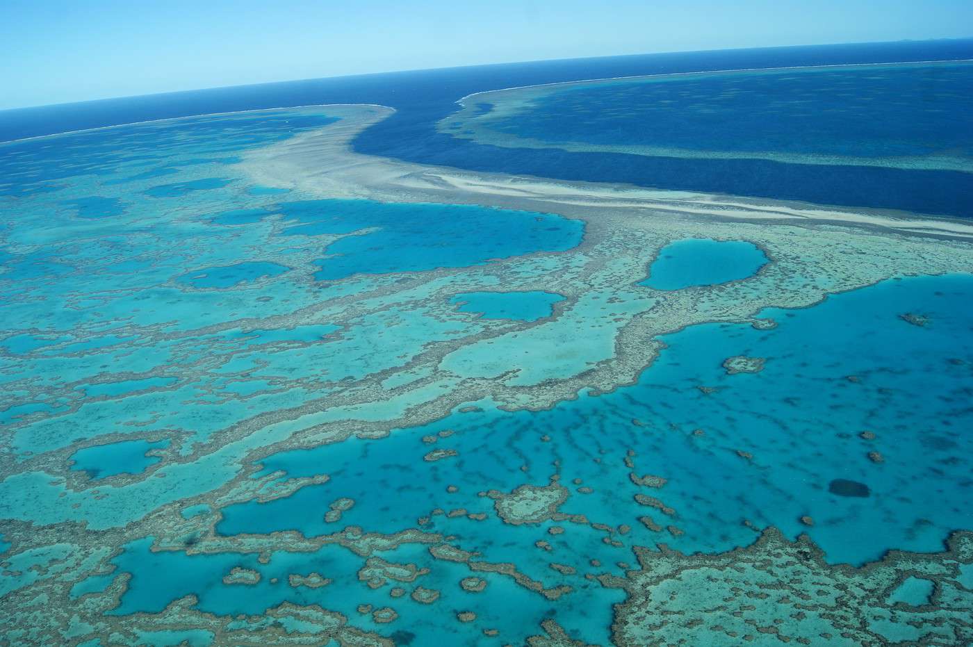 Grande Barri&egrave;re de corail, Queensland, Australie