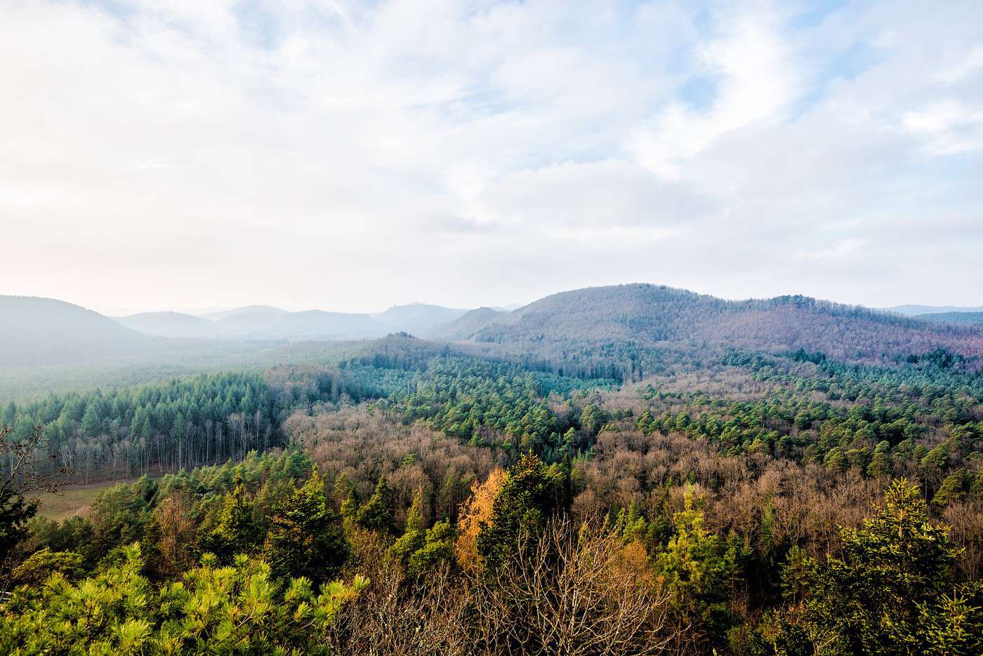 Parc naturel régional des Vosges du Nord, Bas-Rhin, France