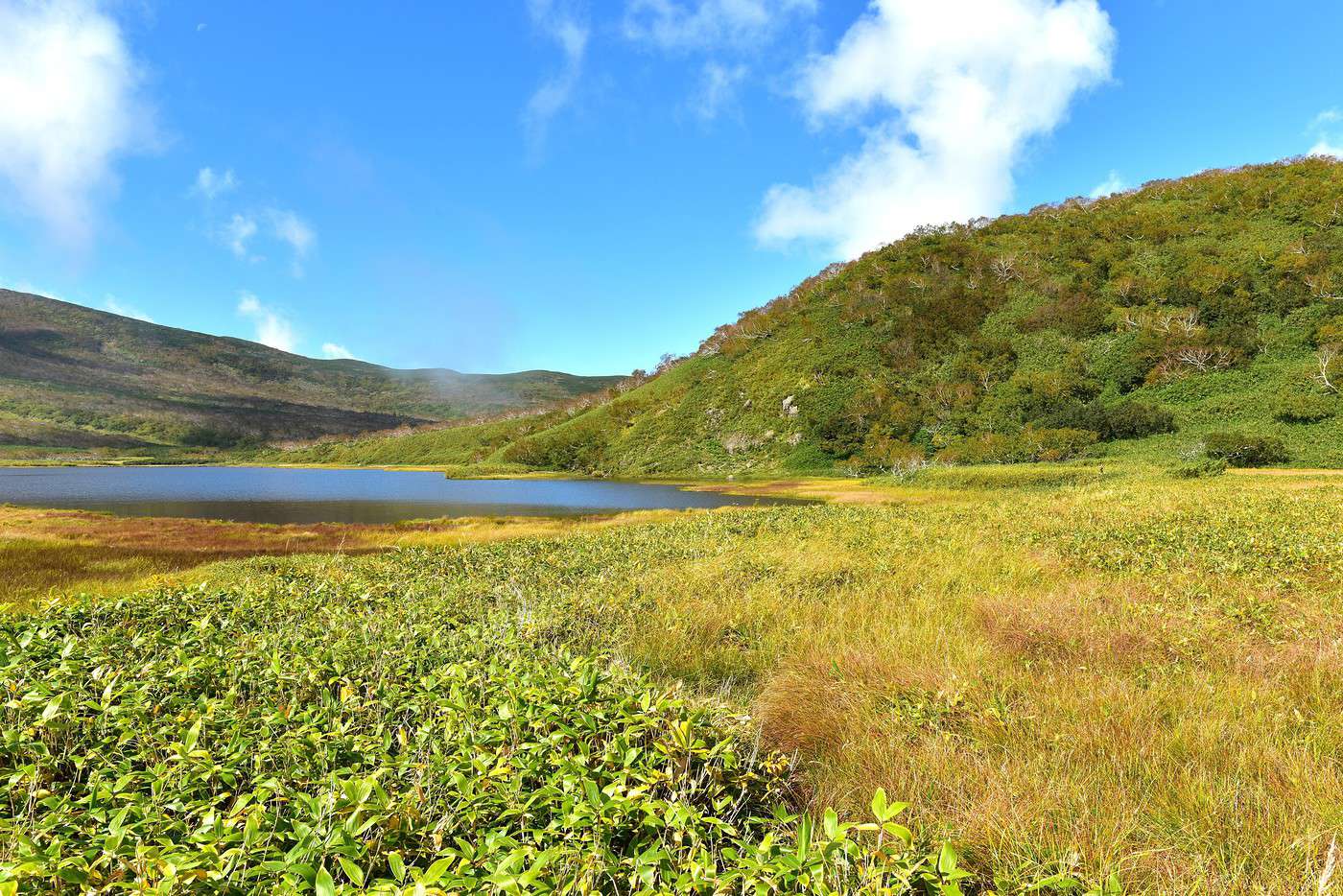 Parc national de Shiretoko, Japon Parc national de Shiretoko, Japon