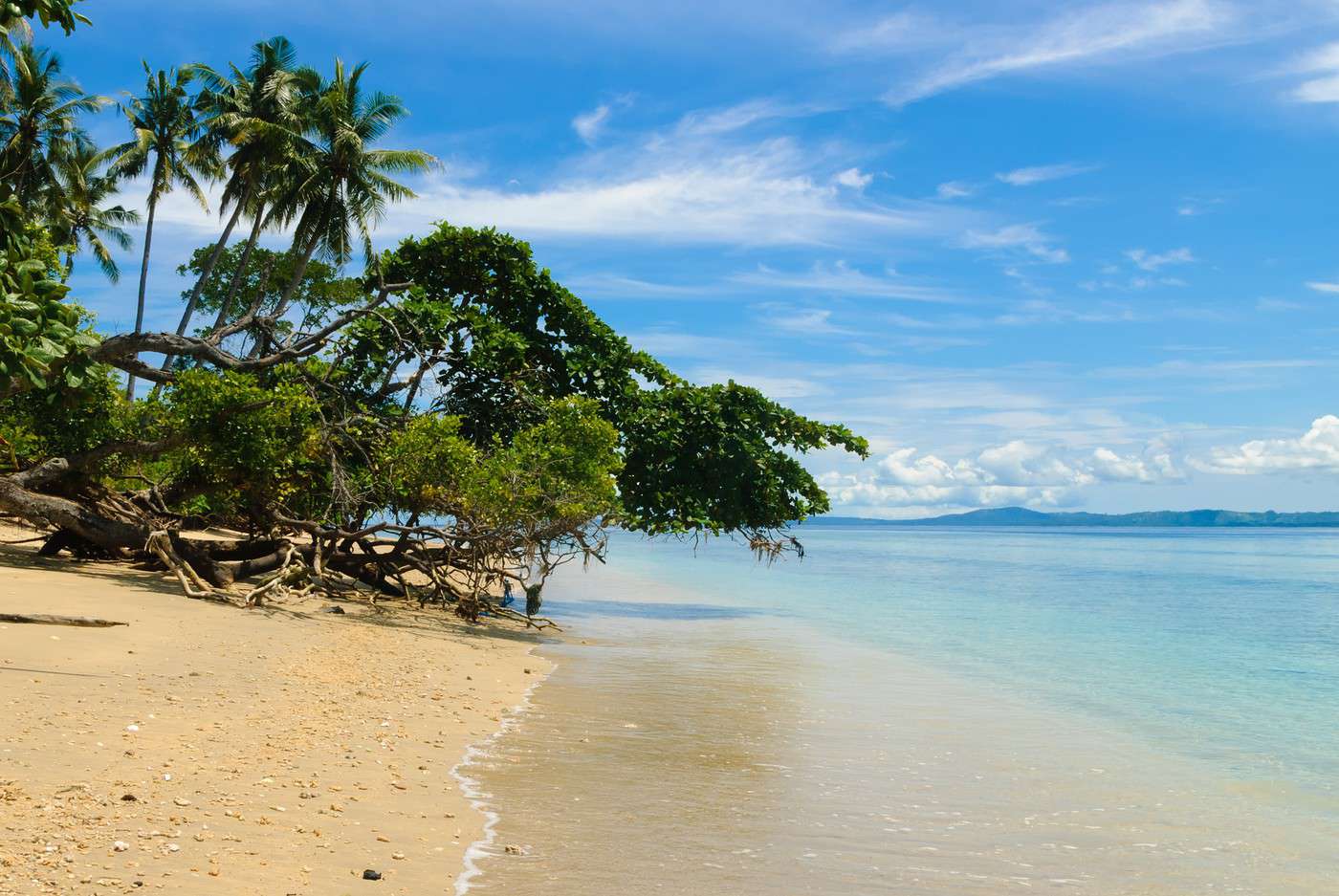 Parc national marin de Bunaken, Indonésie